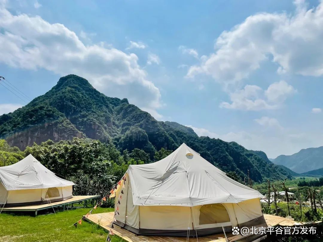 中石化易捷助力“高大尚”平谷建设 打造消费兴农新模式