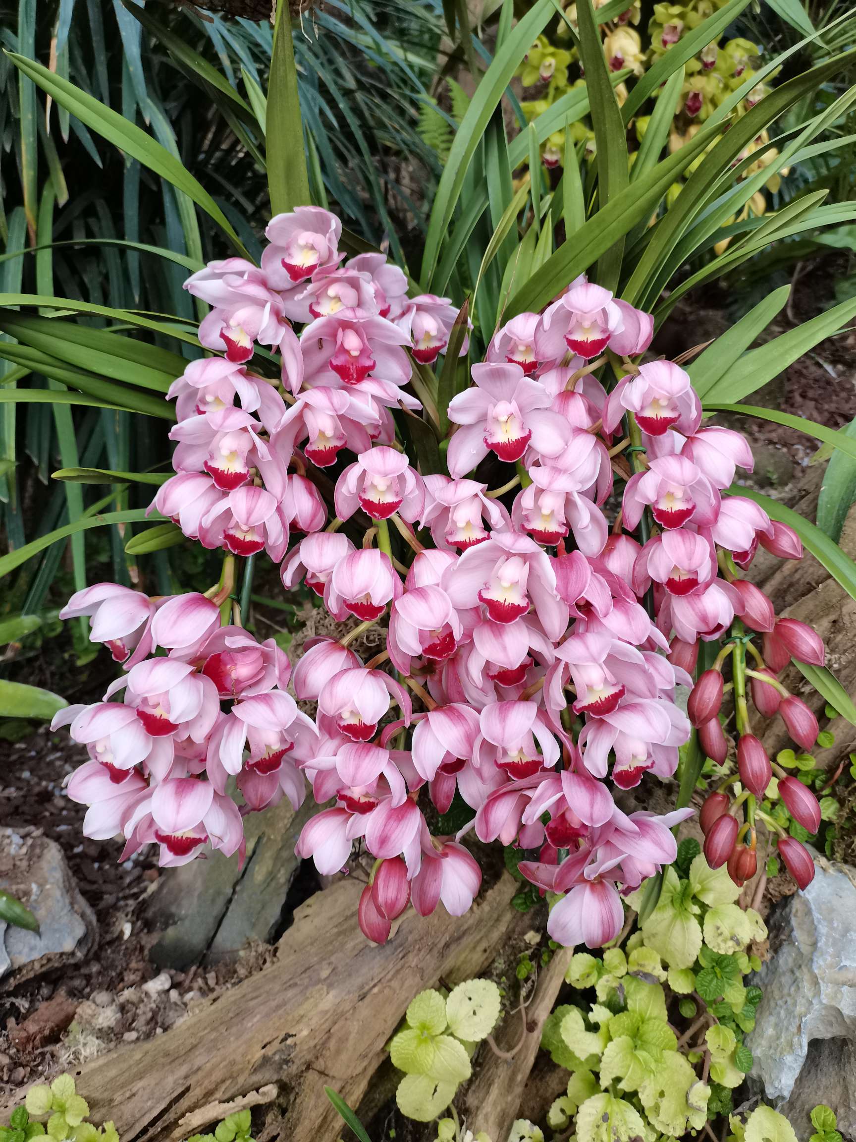 【财经分析】多空博弈促债市窄幅波动 机构判断机会大于风险