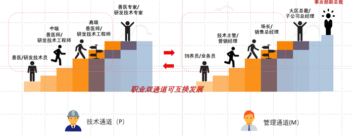 唐人神：广东省县域基金拟3.6亿元增资广东唐人神