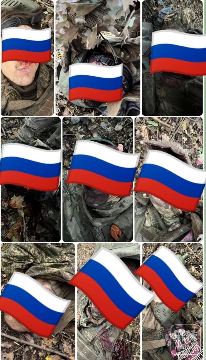 俄乌重磅！梅德韦杰夫、泽连斯基最新表态