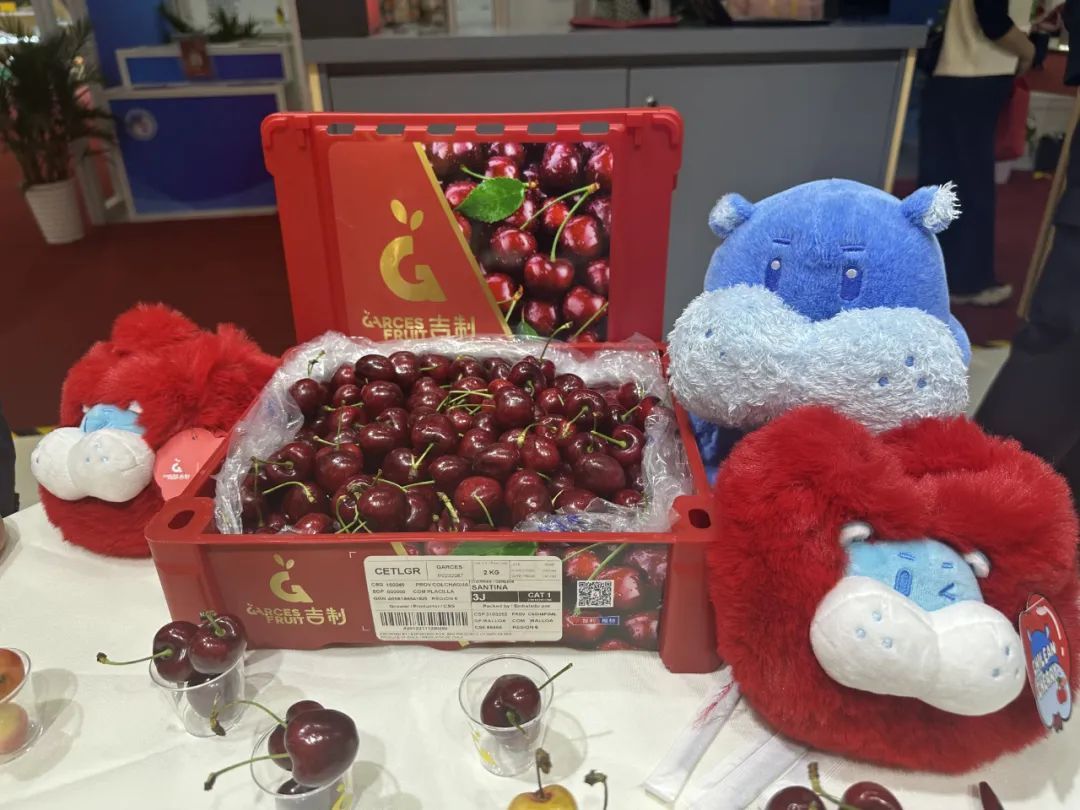 智利外长范克拉韦伦将访华