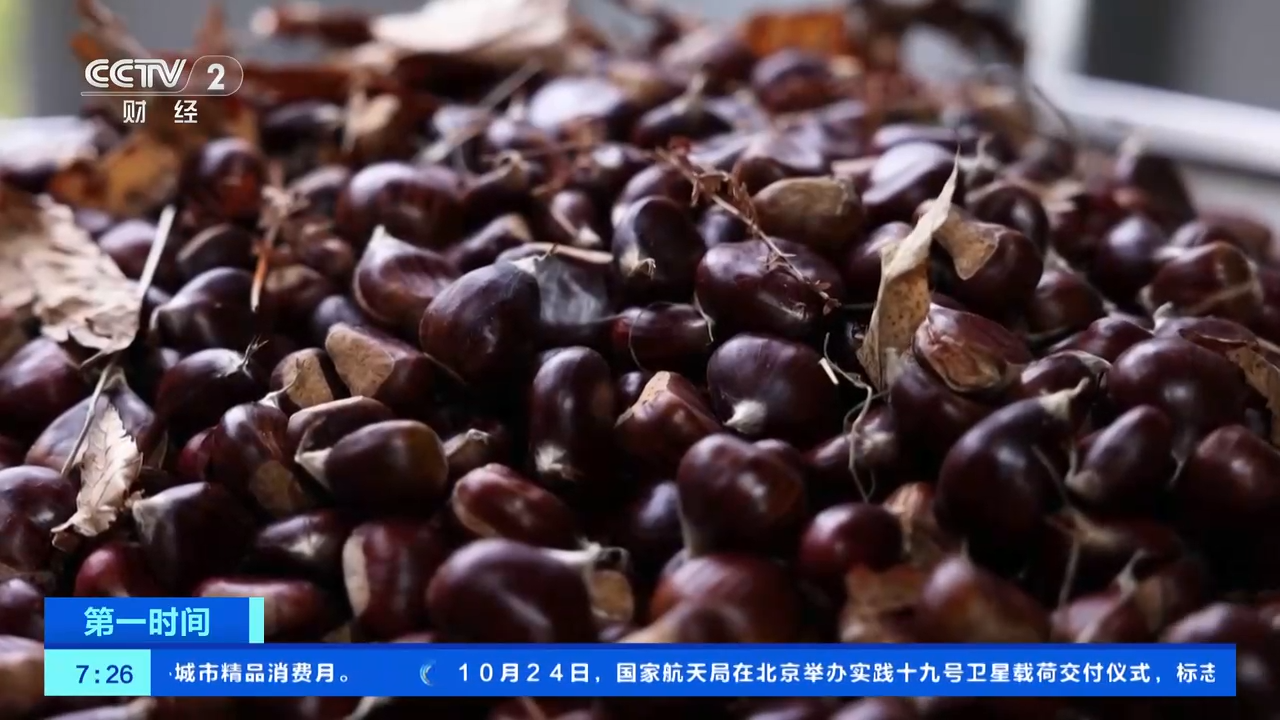 西南地区大幅减产工业硅 期现基差仍较大