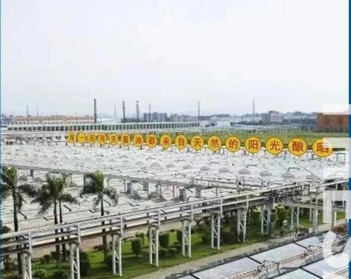 海天味业大宗交易成交1589.52万元