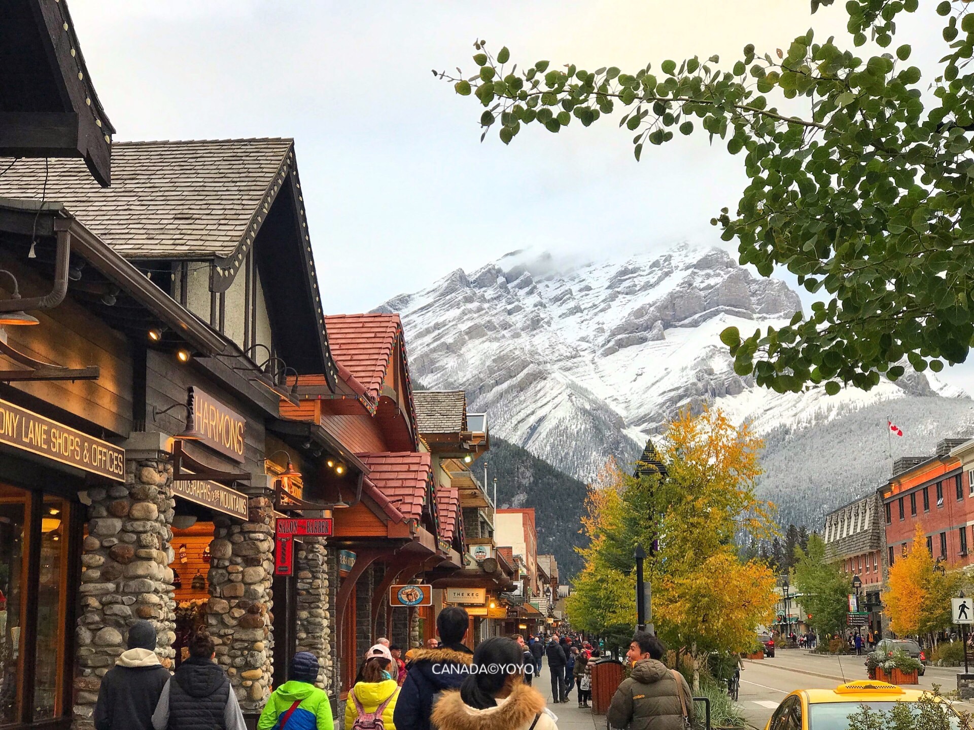 隆基出席联合国防治荒漠化公约大会 分享荒漠化治理绿色实践