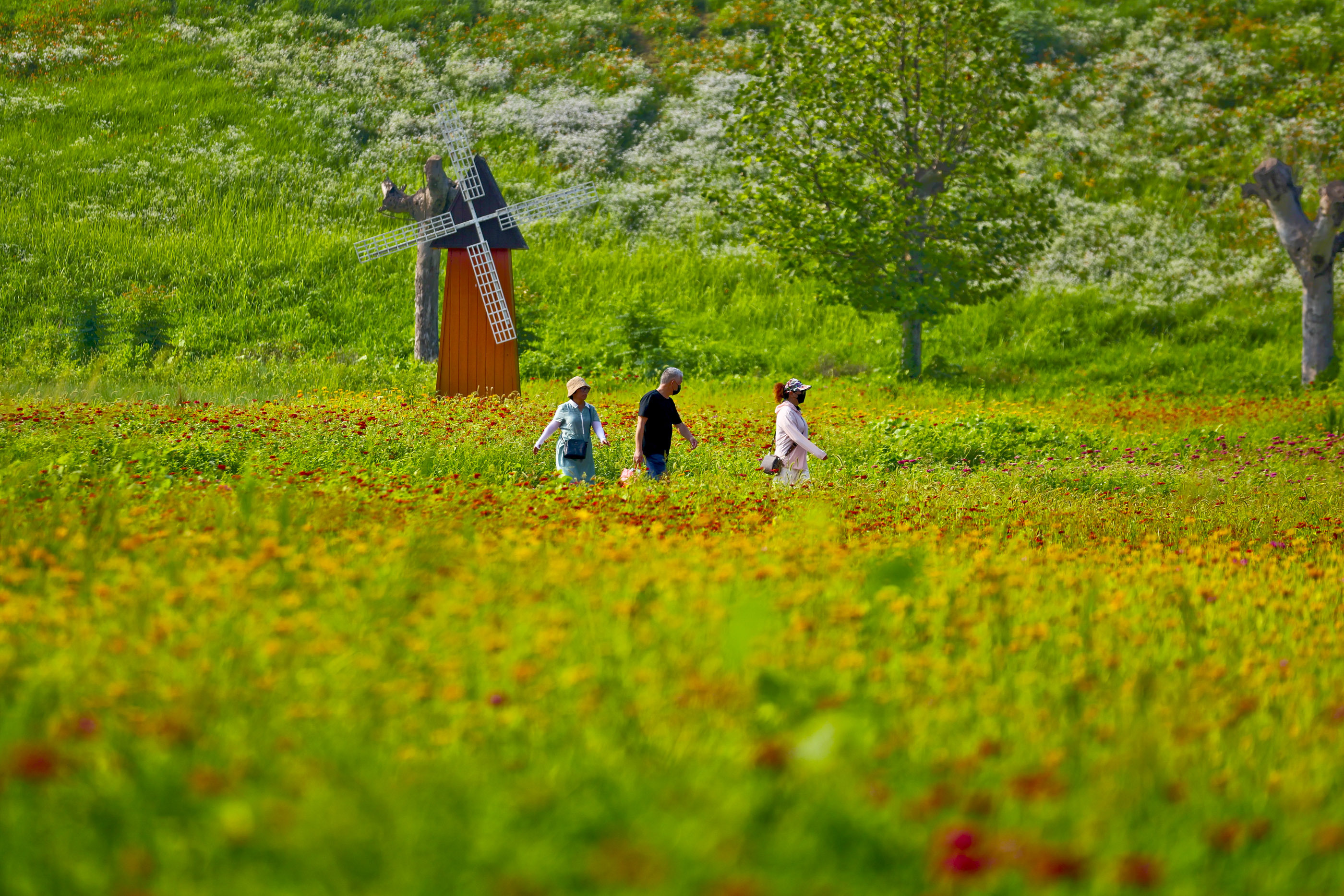 科技赋能矿山安全 创新引领绿色发展——北京君发科技集团携瓦斯全浓度利用成果亮相全国矿山安全科技盛会