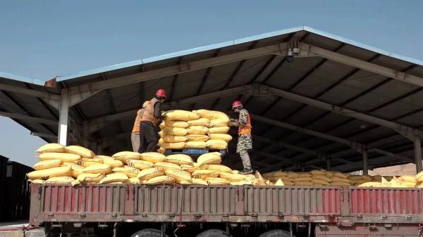 2025春耕生产物资运输报告：数字货运平台为春耕生产提供“加速度”