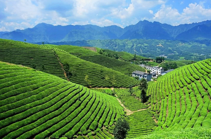 北交所首单科技创新绿色公司债券成功发行