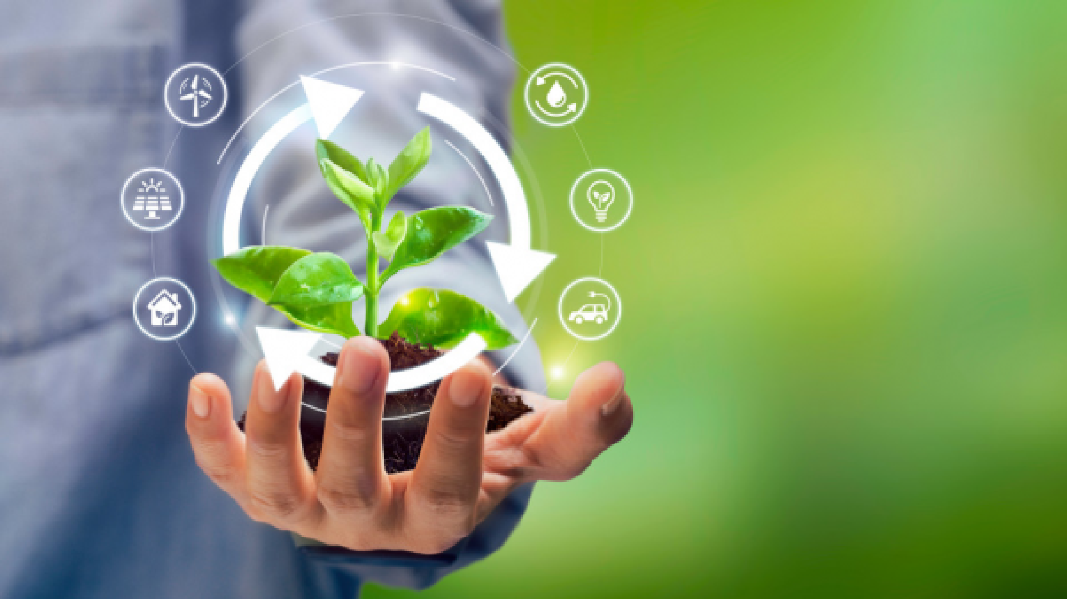 央行：积极引导金融支持自然和生物多样性保护