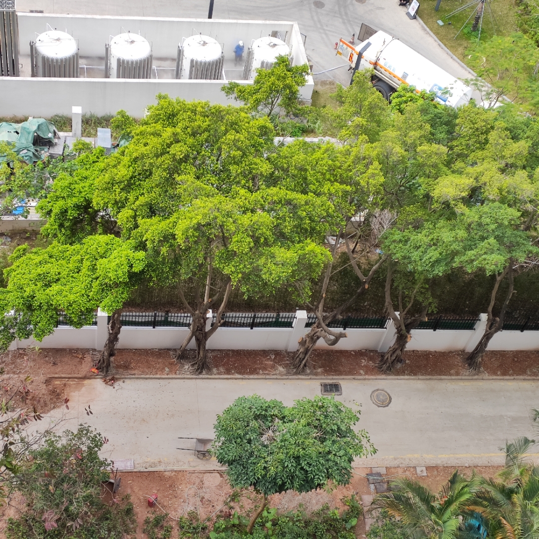 实探风暴中的罗马仕！周末凌晨突发停工通知，公司安保森严！员工懵圈：上周末还加班到凌晨12点！