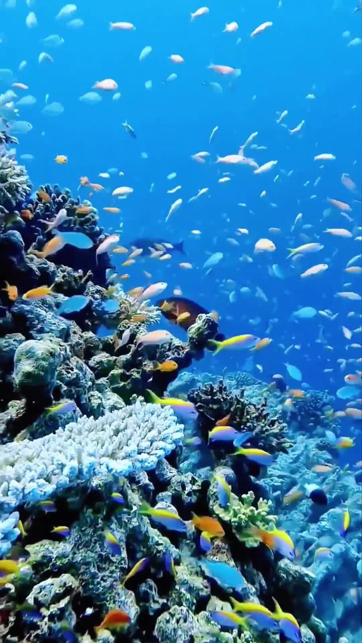 自然资源部：壮大海洋能、海洋生物医药和生物制品等海洋新兴产业，发展蓝色金融