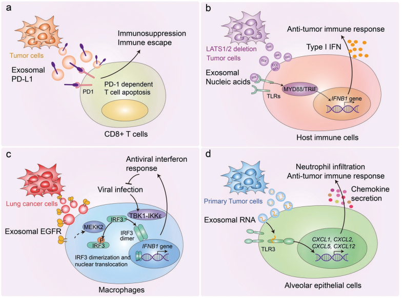 细胞免疫治疗概念下跌1.05%，主力资金净流出42股