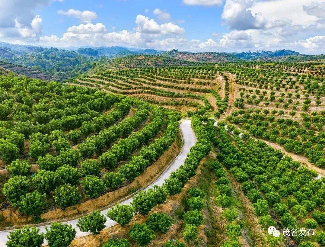 以绿色动能筑牢高质量发展生态屏障