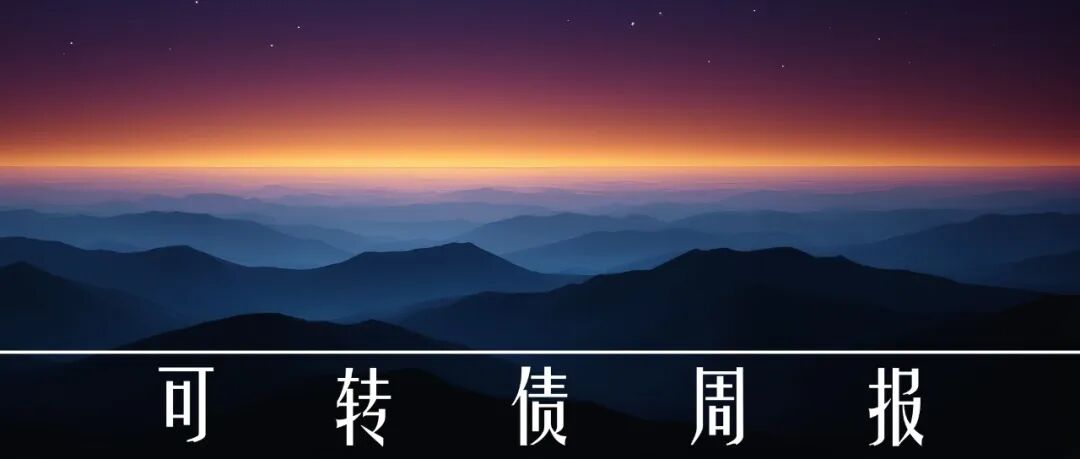 中证转债指数收跌0.02%，164只可转债收涨