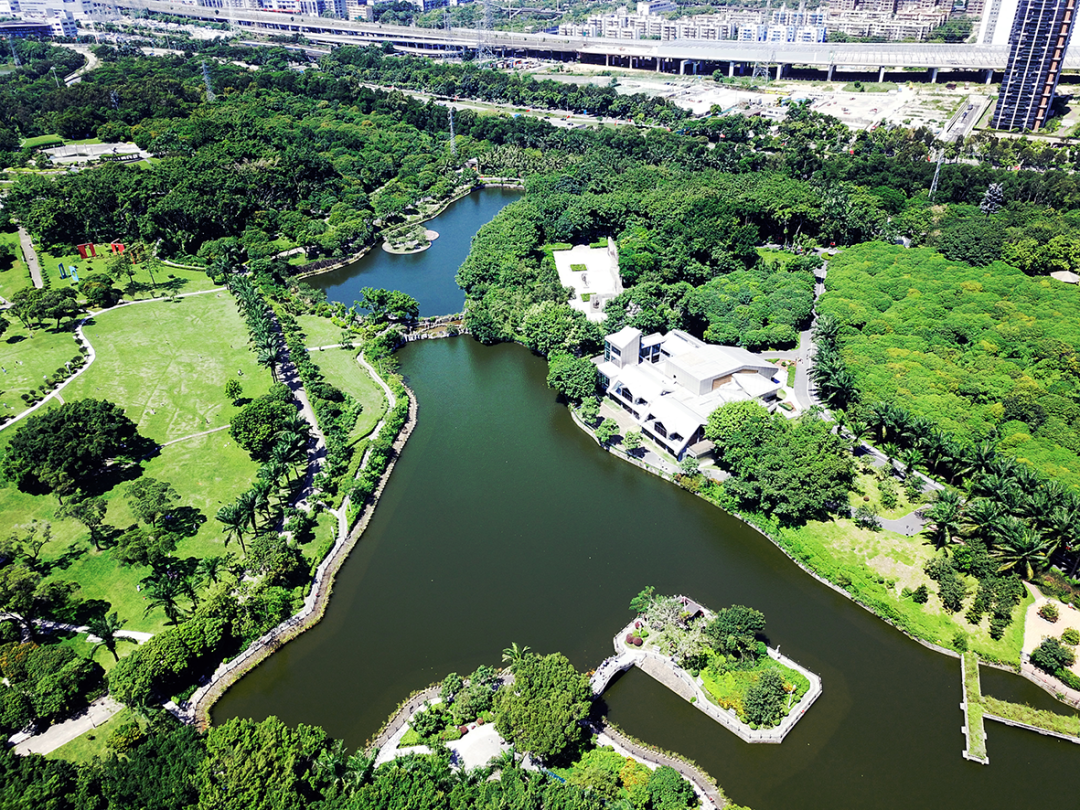 NEXWAVE 2026深圳启幕 大湾区战新产业迈向“共链”时代