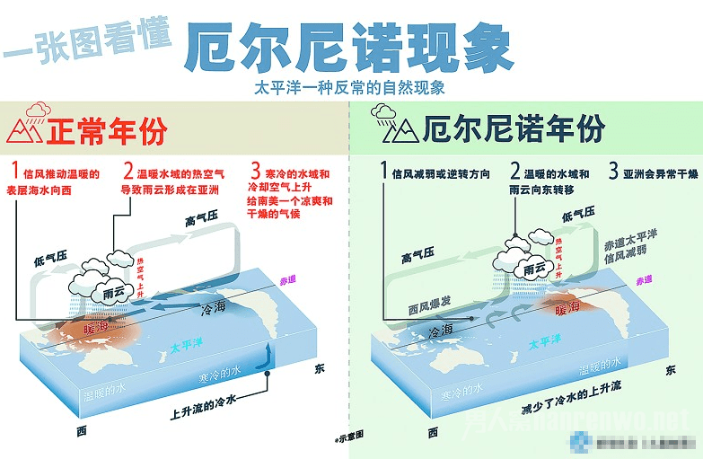 华泰证券：厄尔尼诺来袭 建议关注白糖、天然橡胶及棕榈油相关产业链